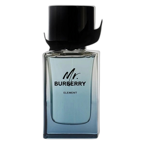 Mr Burberry Element de Burberry