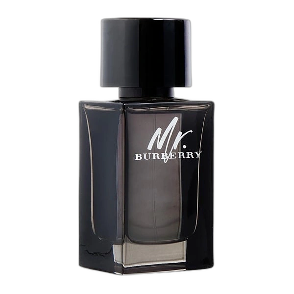 Mr Burberry de Burberry