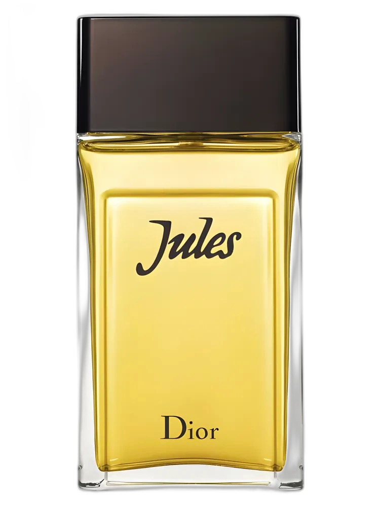 Jules 2016 for men de Dior