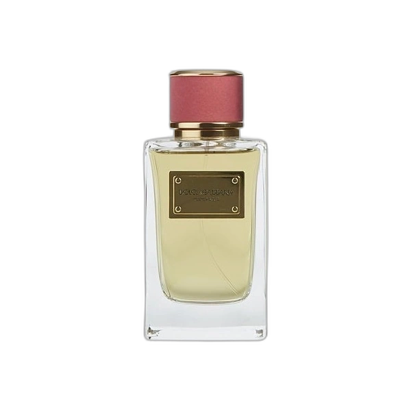 Dolce & Gabbana Velvet Rose de Dolce & Gabbana