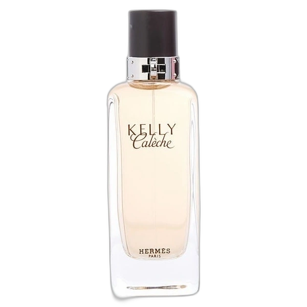 Kelly Caleche de Hermes