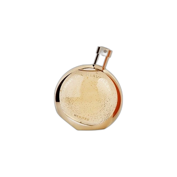 L'Ambre Des Merveilles de Hermes