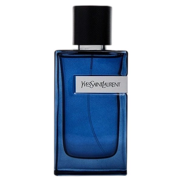 Y Intense de Yves Saint Laurent