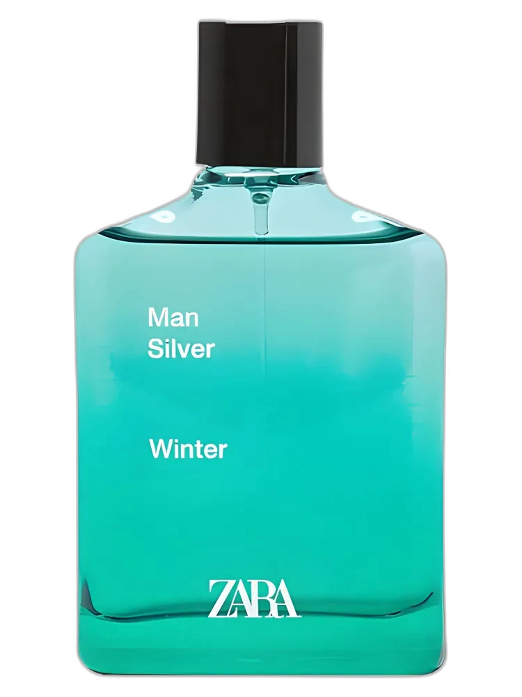 Man Silver Winter for men de Zara