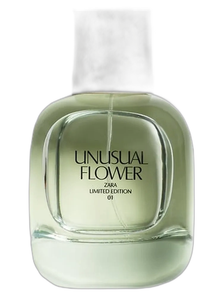 Unusual Flower for women de Zara