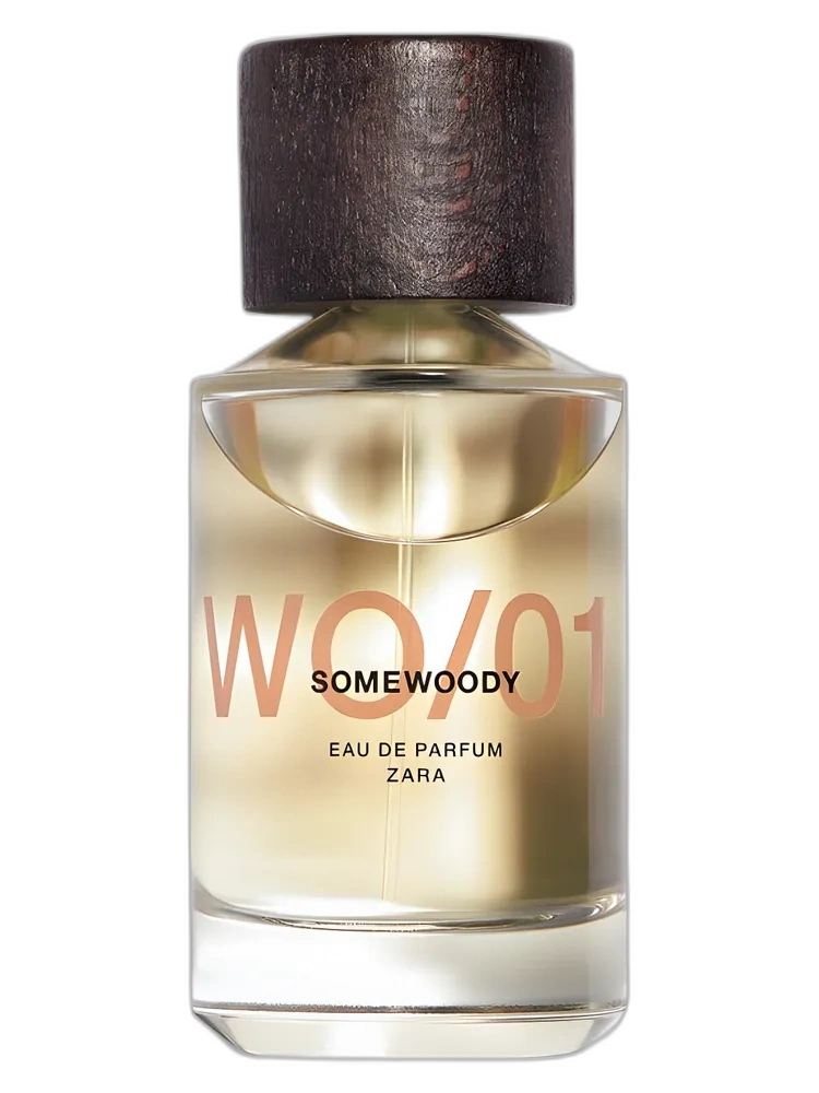 WO/01 Somewoody for men de Zara