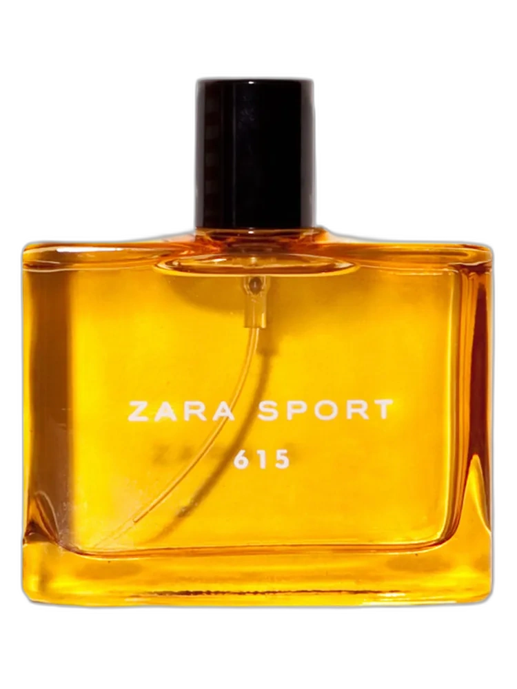 Zara Sport 615 for men de Zara